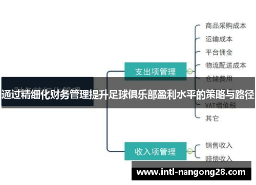 通过精细化财务管理提升足球俱乐部盈利水平的策略与路径