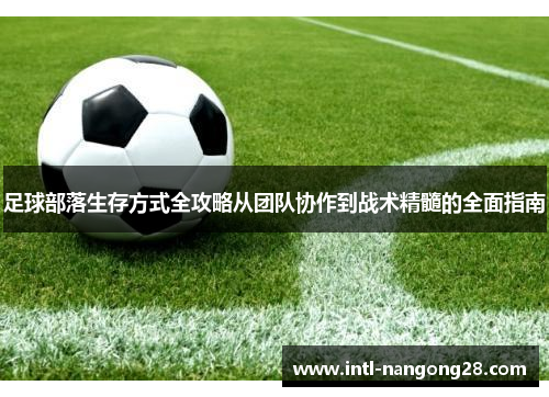 足球部落生存方式全攻略从团队协作到战术精髓的全面指南