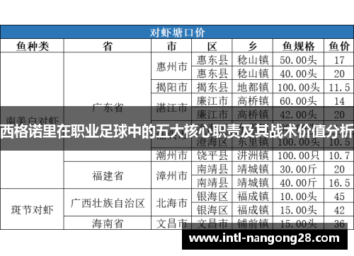 西格诺里在职业足球中的五大核心职责及其战术价值分析