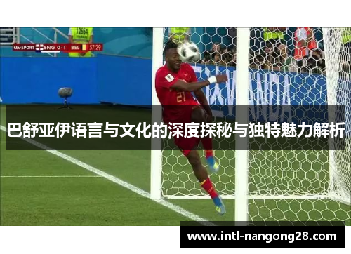 巴舒亚伊语言与文化的深度探秘与独特魅力解析