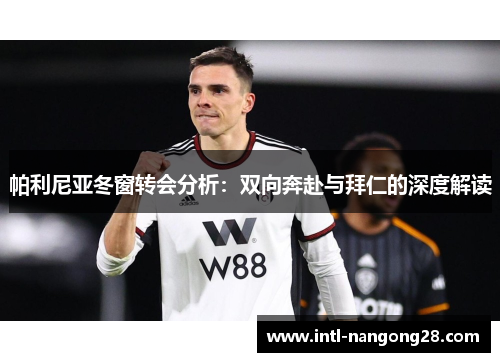 帕利尼亚冬窗转会分析：双向奔赴与拜仁的深度解读