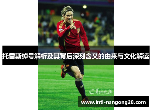 托雷斯绰号解析及其背后深刻含义的由来与文化解读